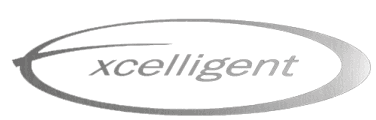 Excelligent Logo